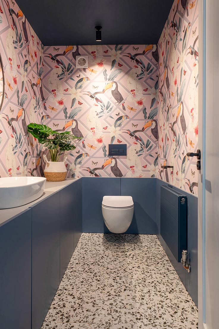 epsom-cloakroom-toilet.jpg