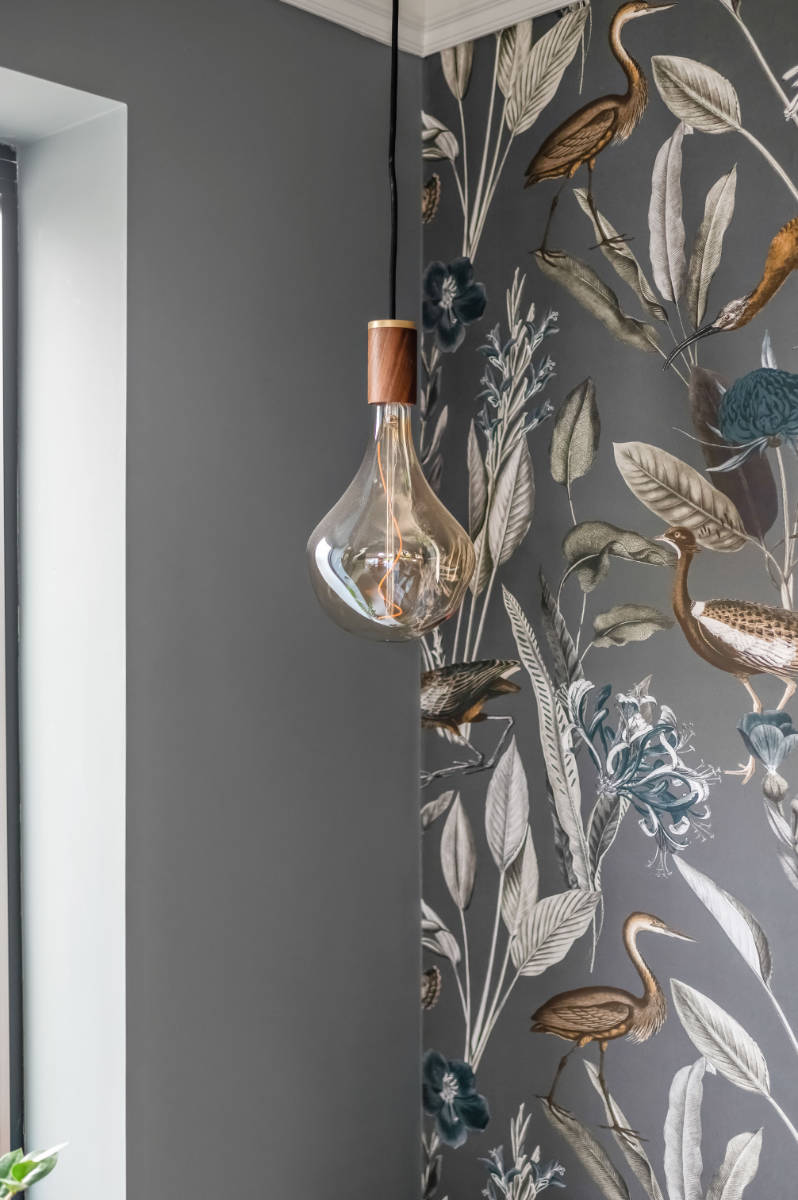 feature-lightbulb-nature-wallpaper-new-malden.jpg